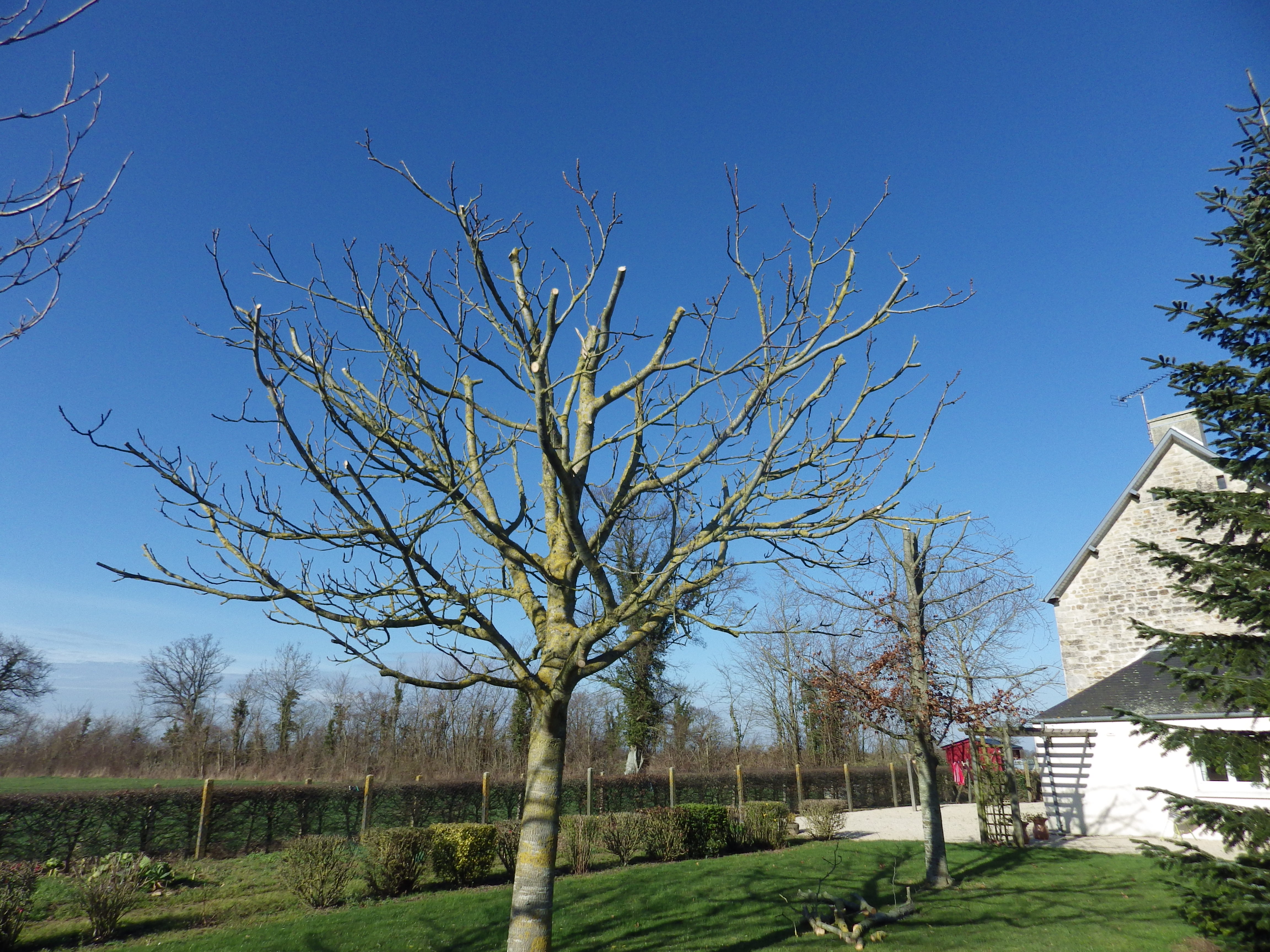 entreprise paysagiste martin besaces, bayeux, vire